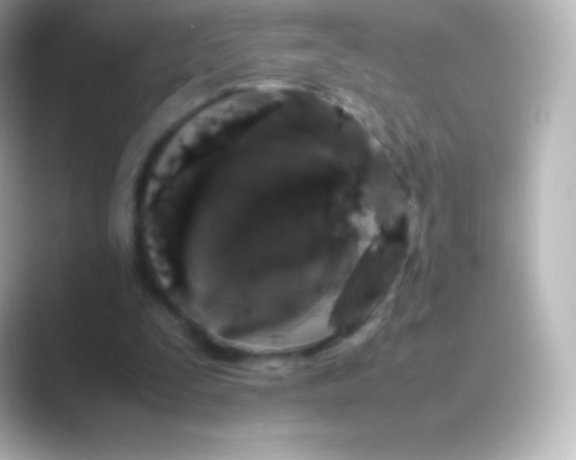 X0000088700295200706211949