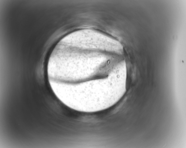 X0000088700296200706211949