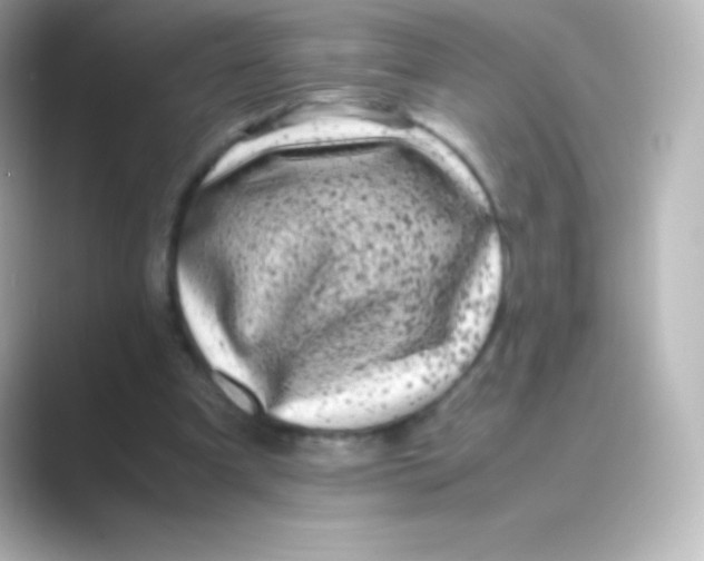 X0000088700297200706211949