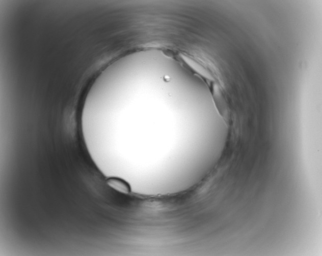 X0000088700298200706211949