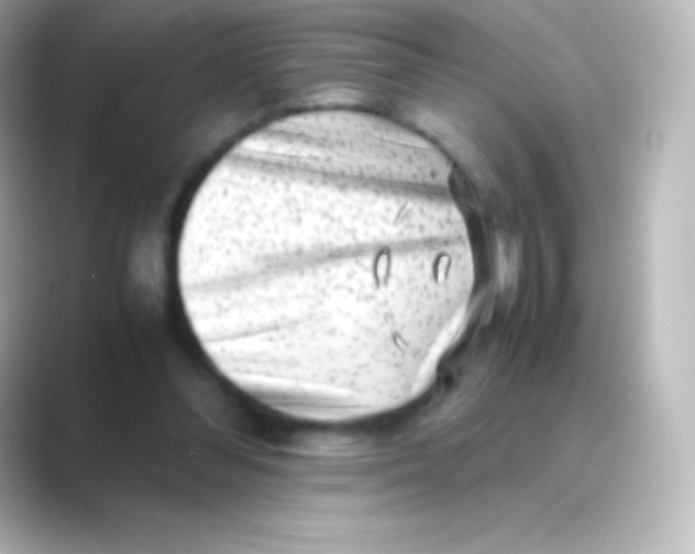 X0000088700300200706211949