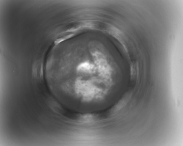 X0000088700301200706211949