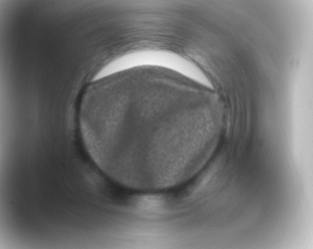 X0000088700303200706211949