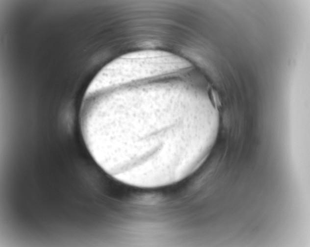 X0000088700304200706211949