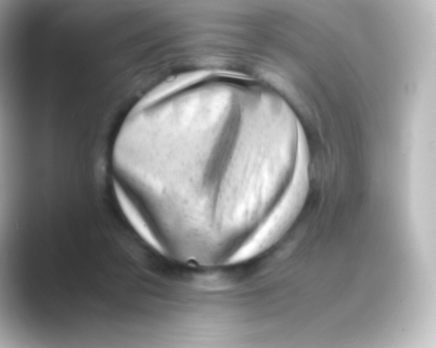 X0000088700309200706211949