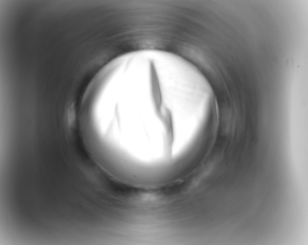 X0000088700310200706211949