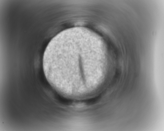 X0000088700311200706211949