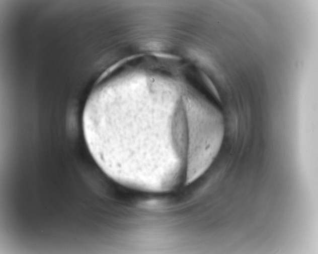 X0000088700312200706211949