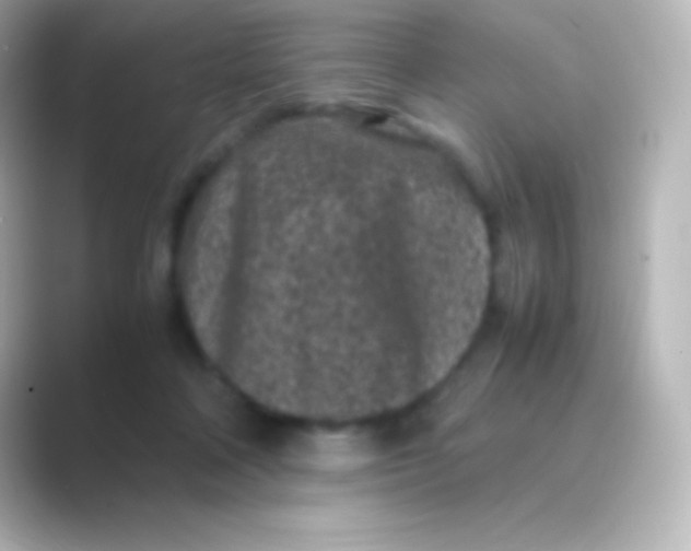 X0000088700314200706211949