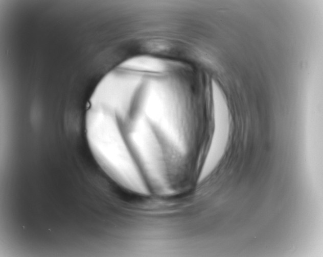 X0000088700315200706211949