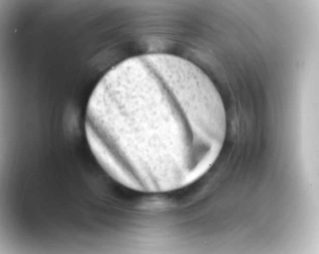 X0000088700316200706211949