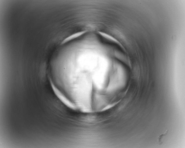 X0000088700318200706211949