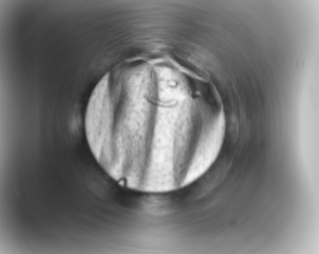 X0000088700320200706211949