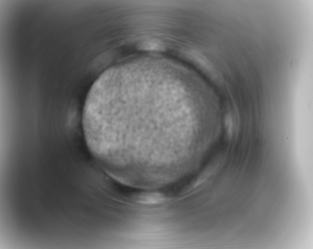 X0000088700322200706211949