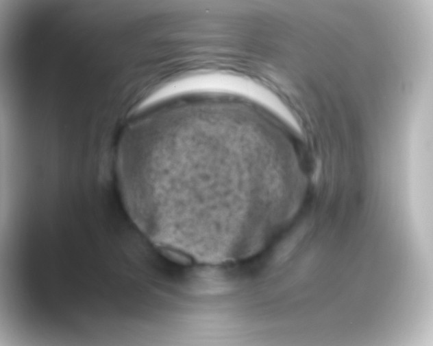 X0000088700325200706211949