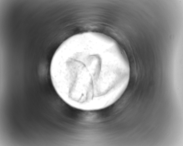 X0000088700328200706211949