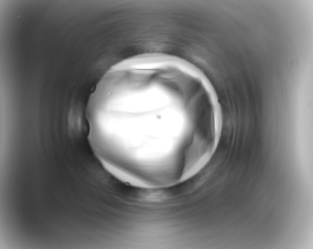 X0000088700334200706211949