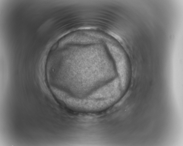 X0000088700337200706211948