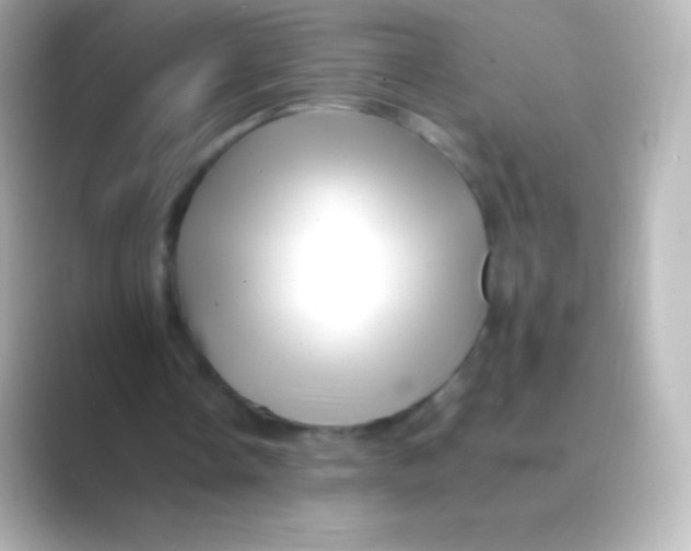 X0000088700338200706211948