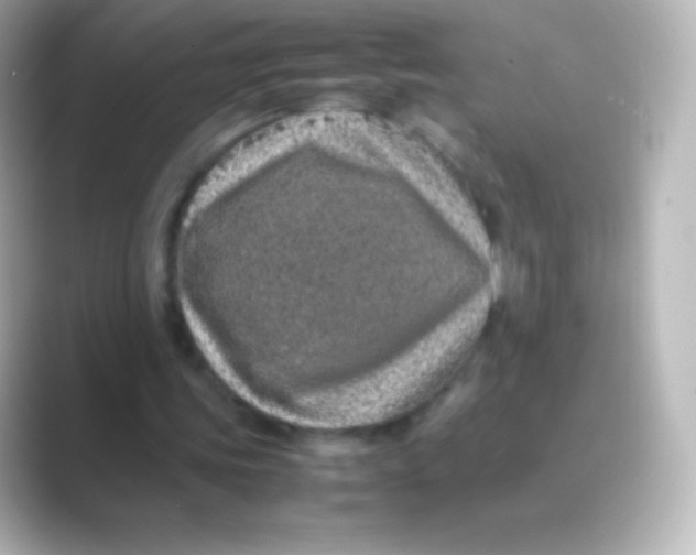 X0000088700339200706211948