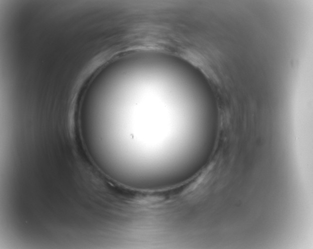 X0000088700340200706211948