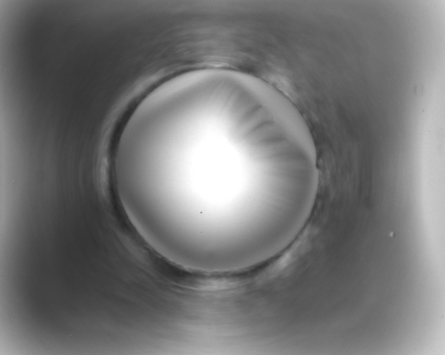 X0000088700342200706211948