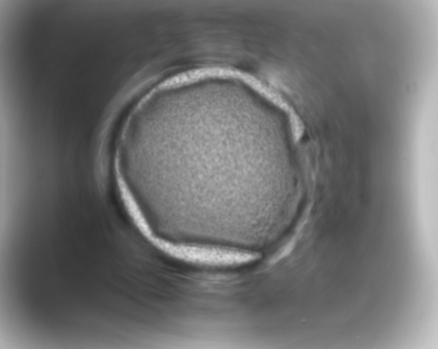 X0000088700343200706211948