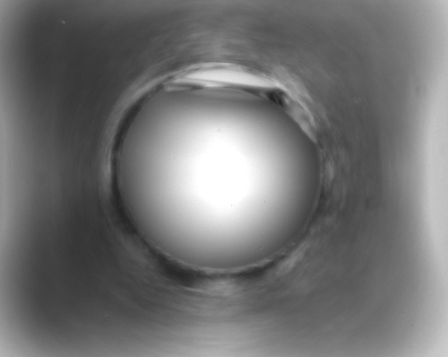 X0000088700344200706211948