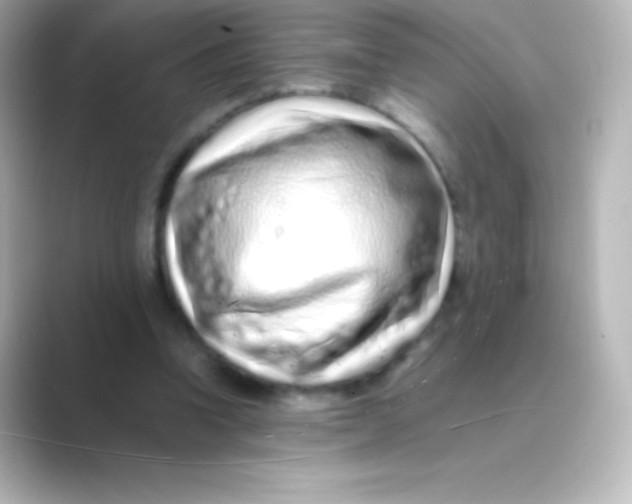 X0000088700346200706211948