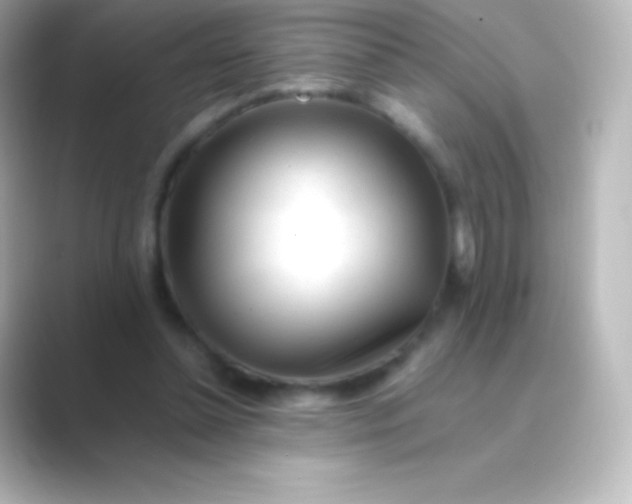 X0000088700348200706211948