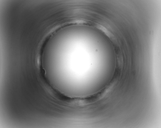 X0000088700350200706211948