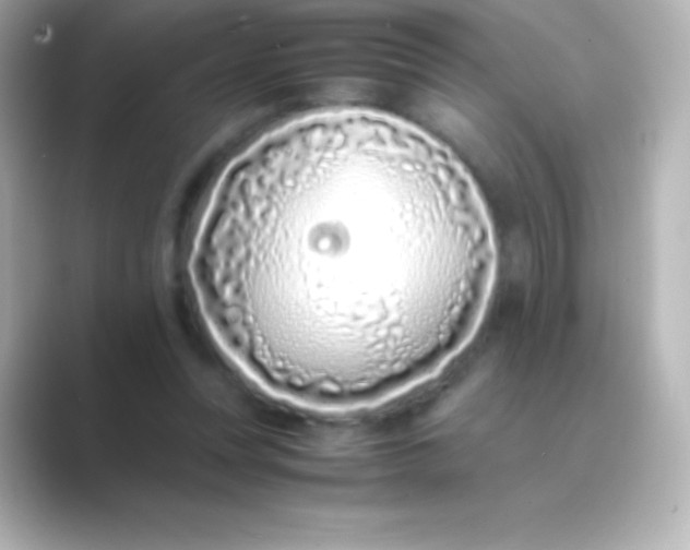 X0000088700351200706211948