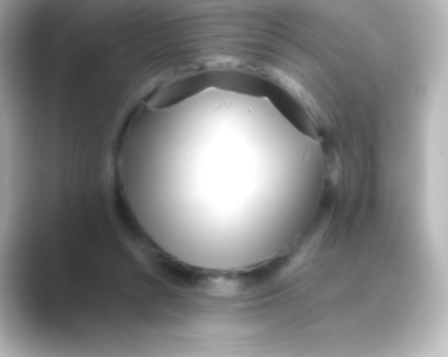 X0000088700352200706211948