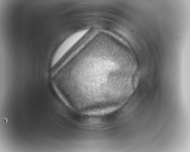 X0000088700353200706211948