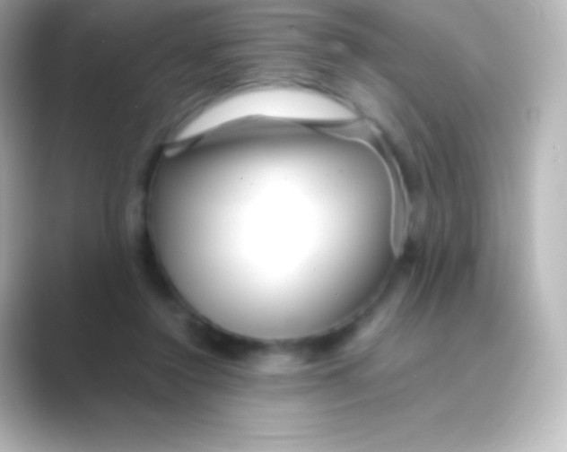 X0000088700356200706211948