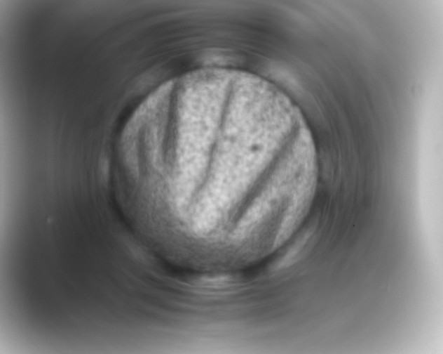 X0000088700357200706211949