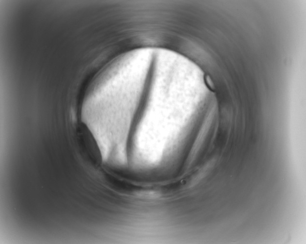 X0000088700358200706211949