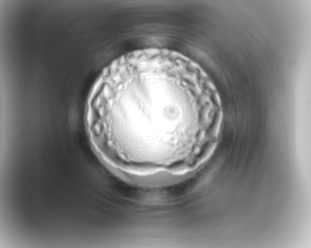 X0000088700359200706211949