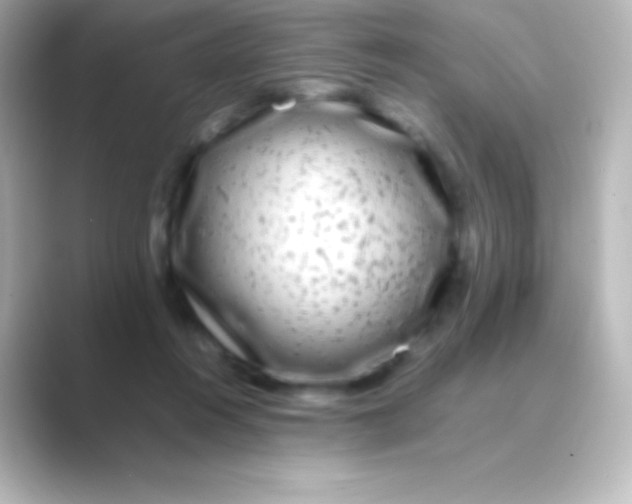 X0000088700360200706211949