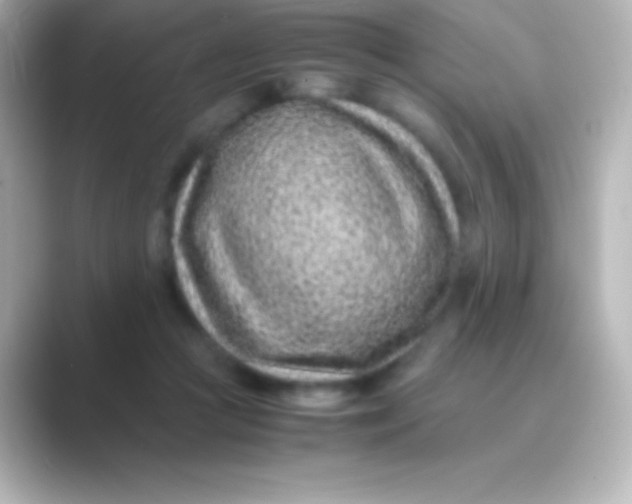 X0000088700361200706211949