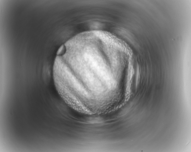 X0000088700363200706211949