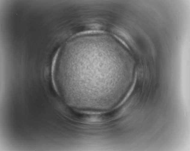 X0000088700365200706211949