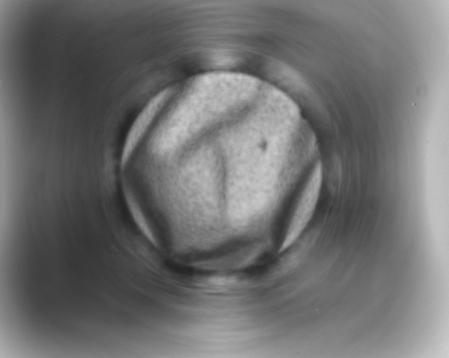 X0000088700366200706211949