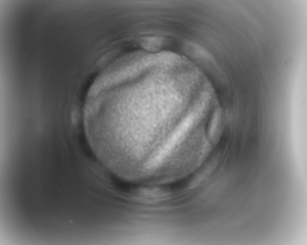 X0000088700367200706211949