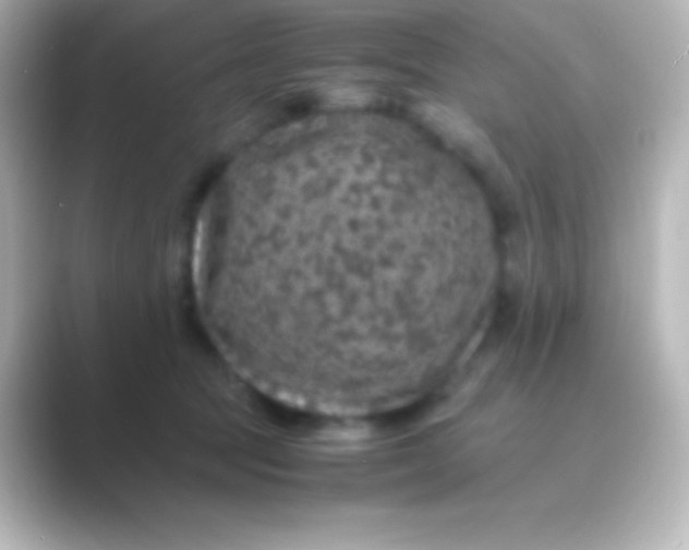 X0000088700369200706211949