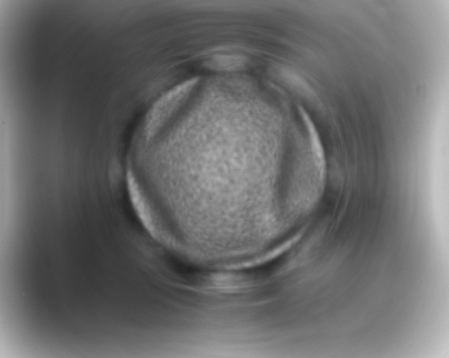 X0000088700371200706211949