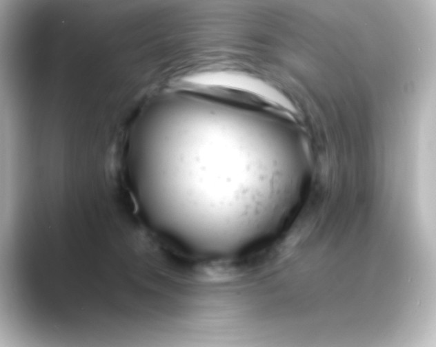 X0000088700372200706211949