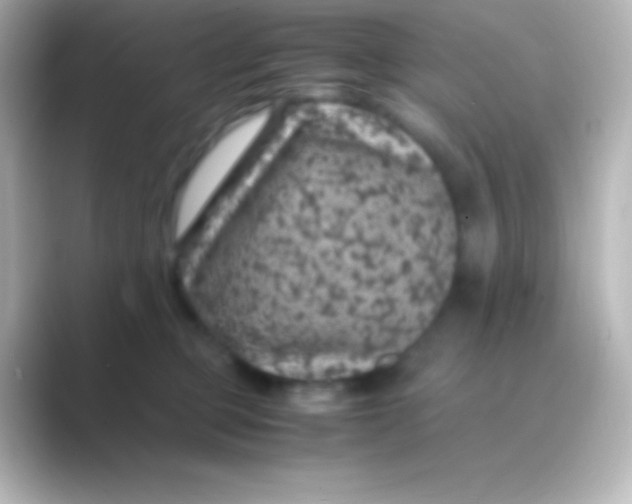 X0000088700373200706211949