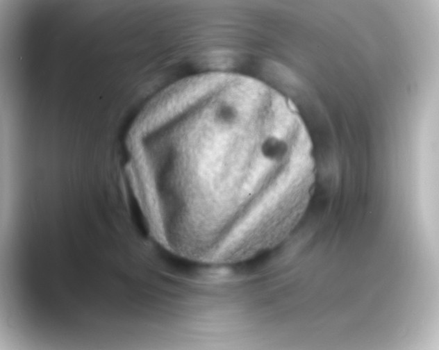 X0000088700374200706211949