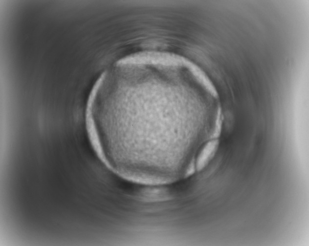 X0000088700375200706211949